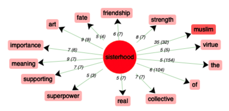 réseau de coocurents du mot sororité en anglais : sisterhood
